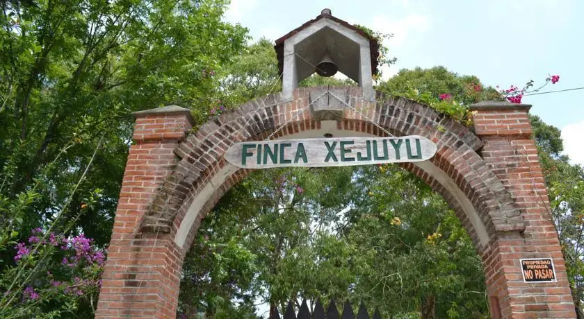 Xejuyu