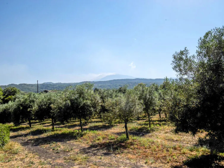 Locazione turistica Serena