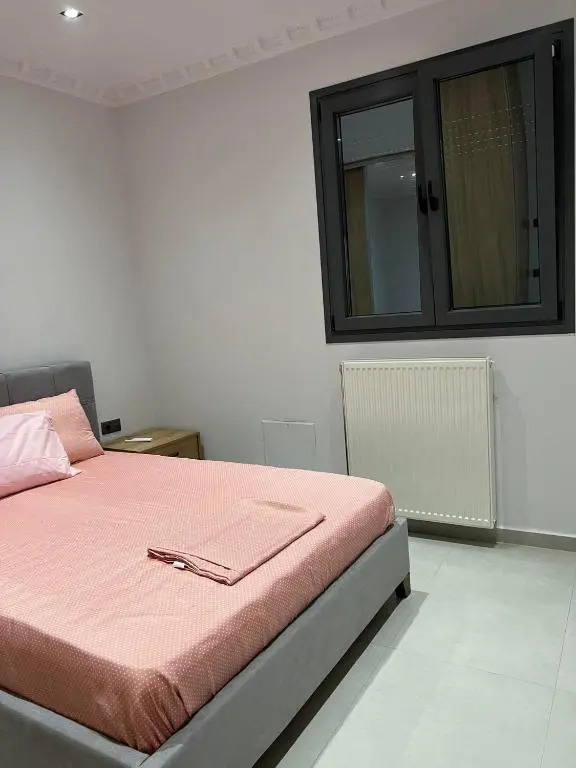 Furnished apartment (in the city center)