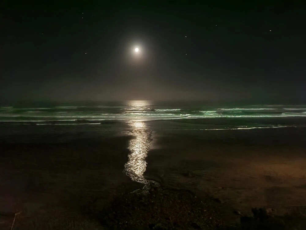 Surfsong