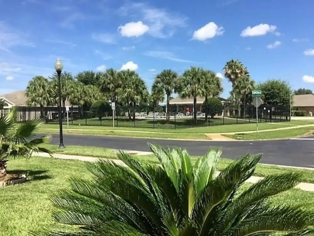 8954BP - Paradise Palms
