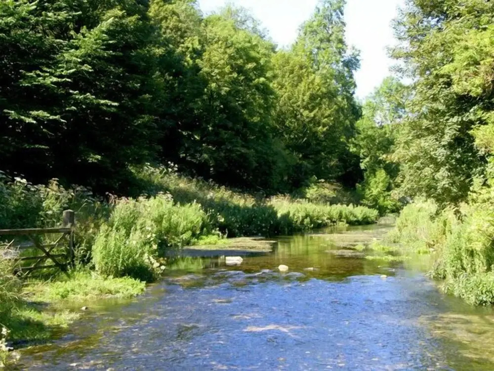 River Cottage