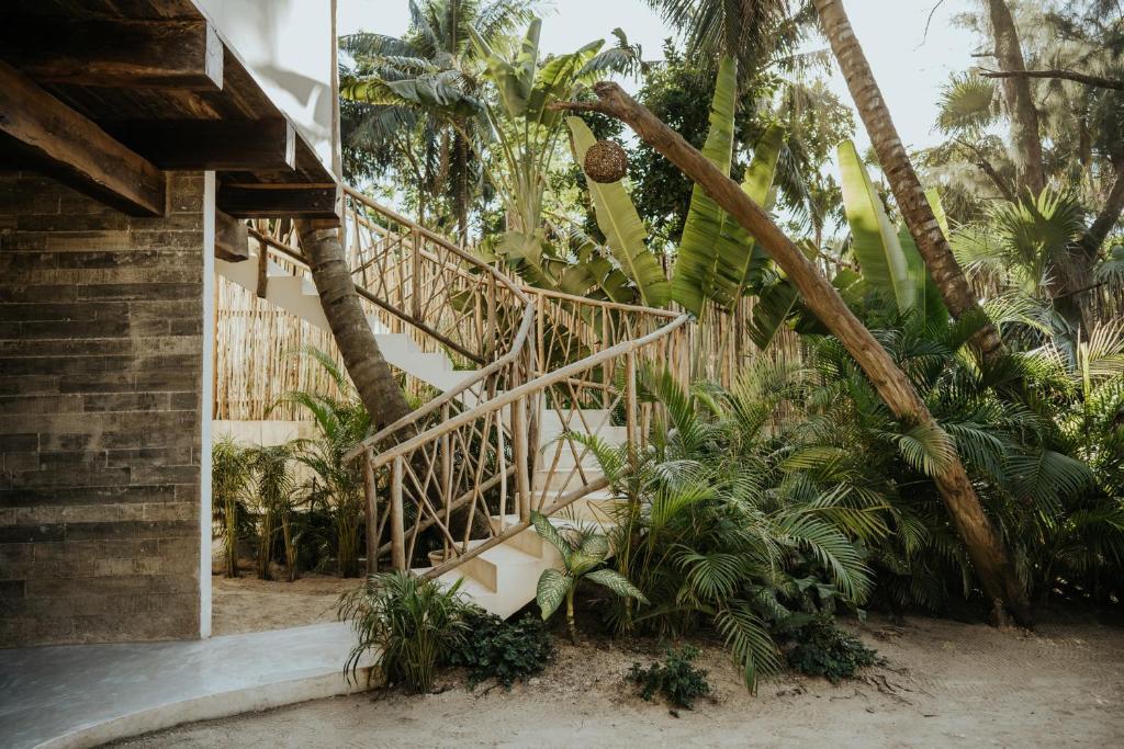 Zorba Tulum Beach Homes