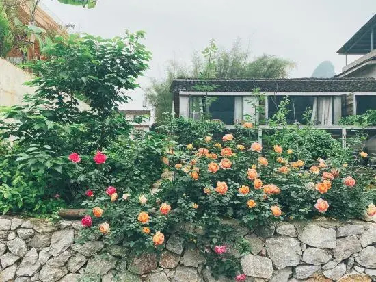 Qiyun Shanju Hostel