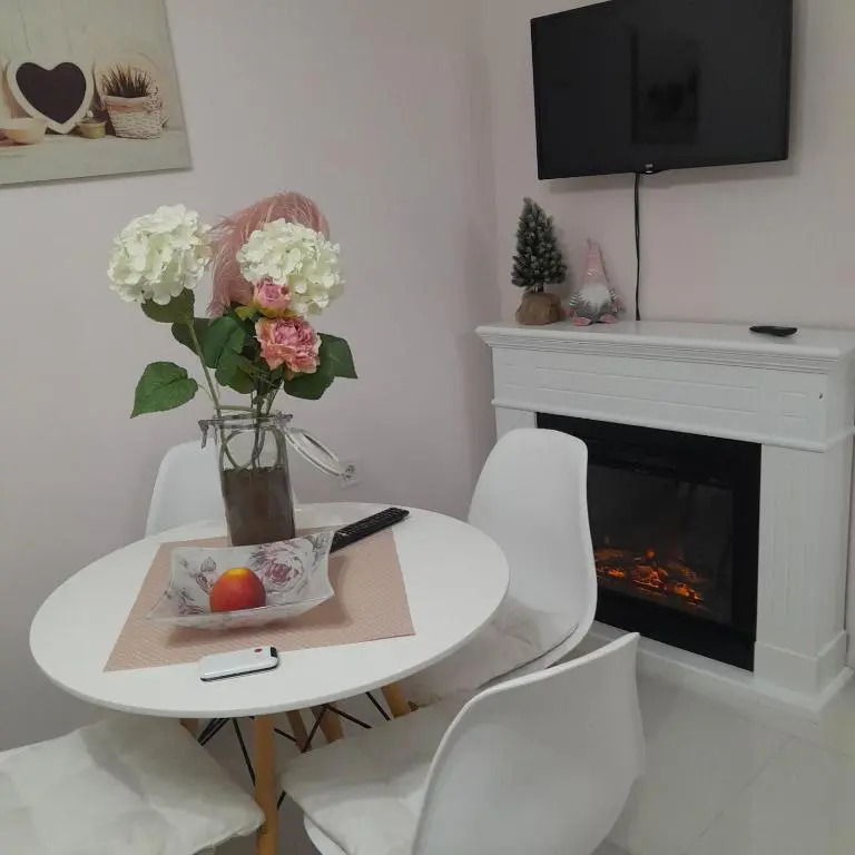 Park Apartment in Niksic
