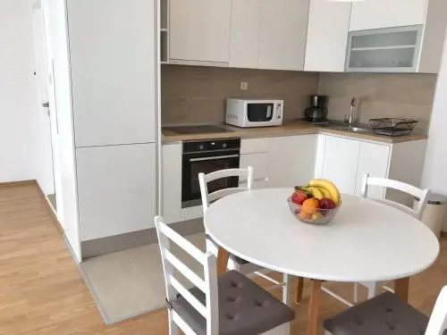 Apartment Antiša