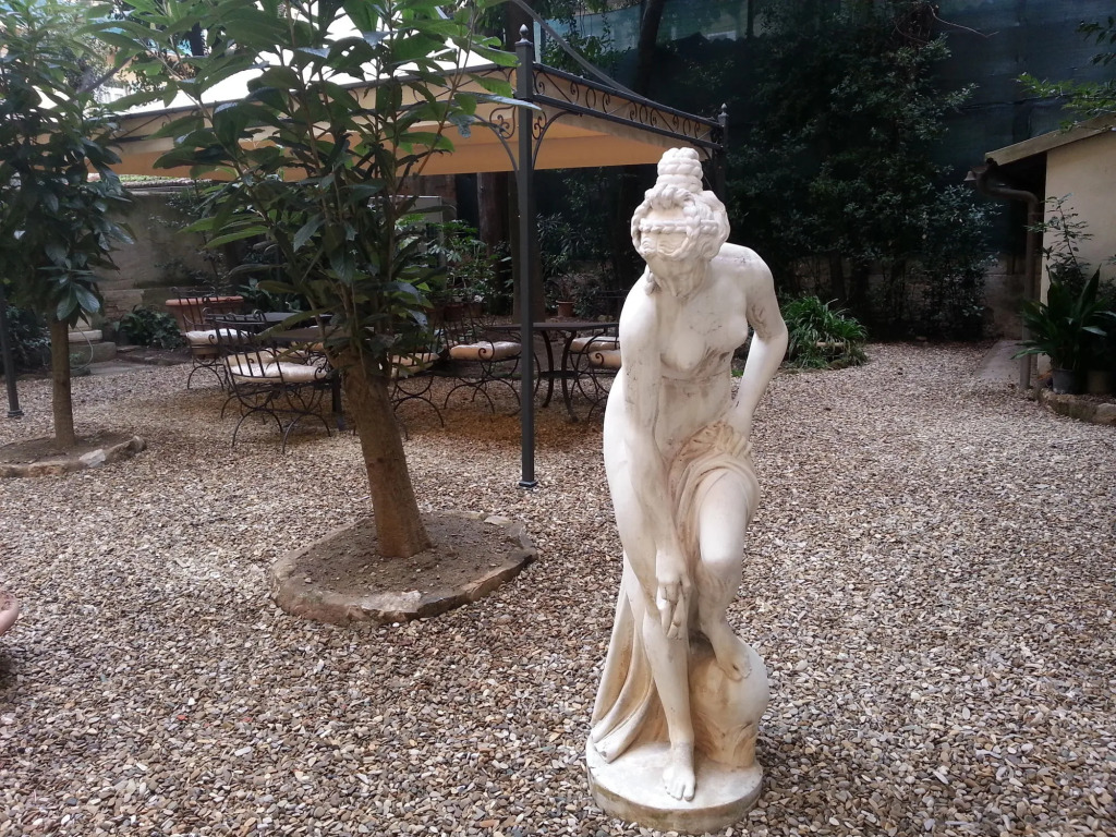 Little Garden Donatello