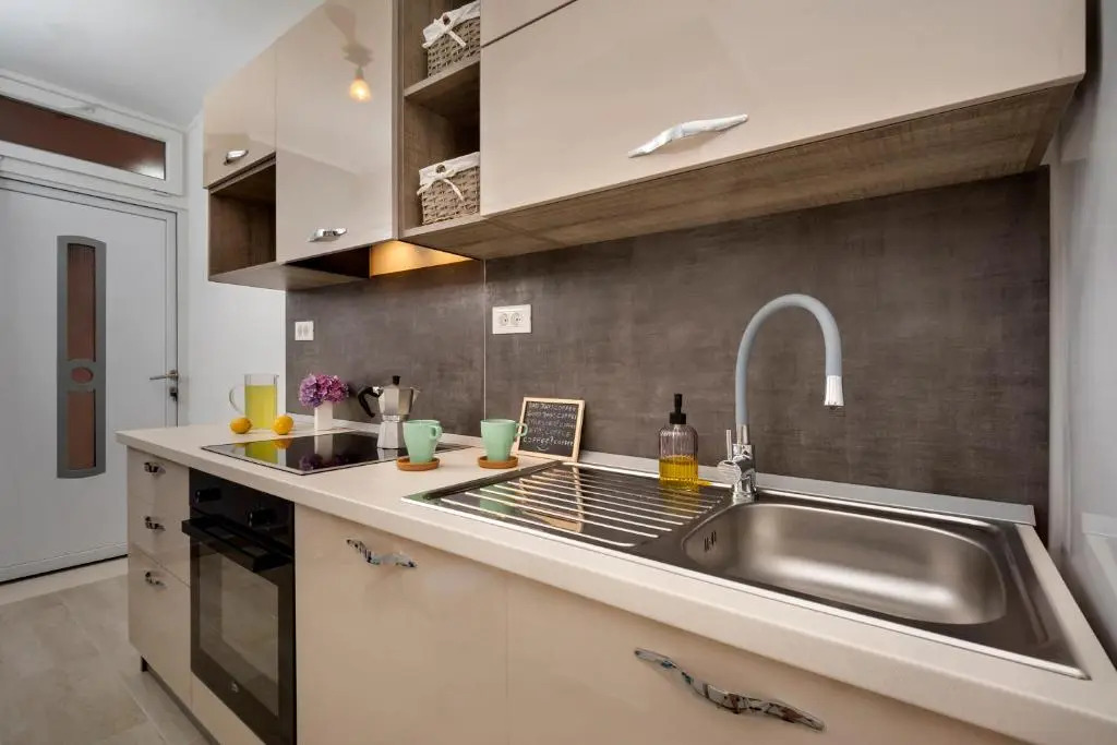 Apartment Branko