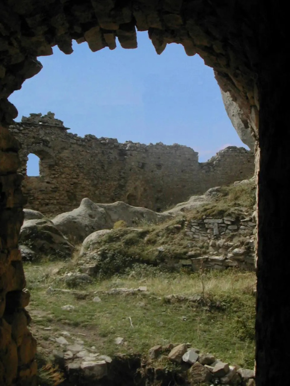 Ercole