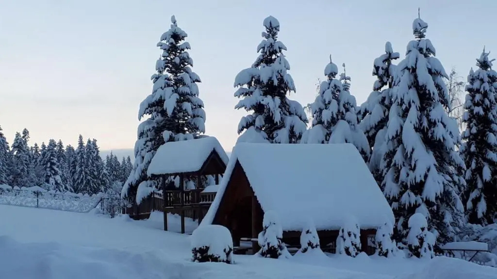 Pokoje Apartamenty Pod Limbą