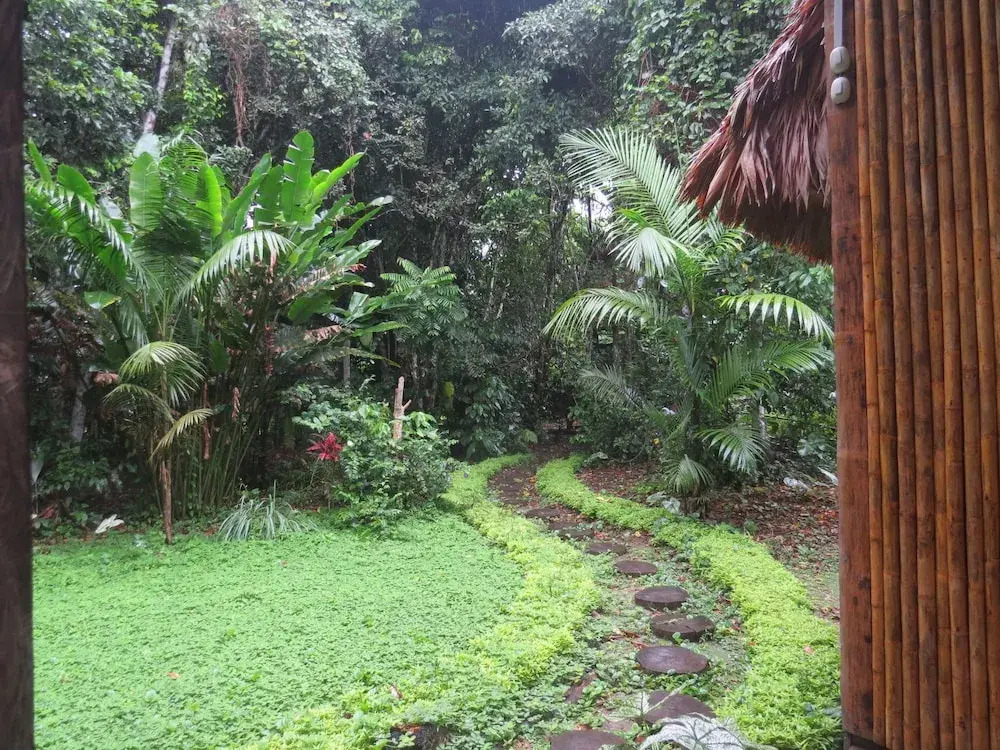 Oropendola Expeditions