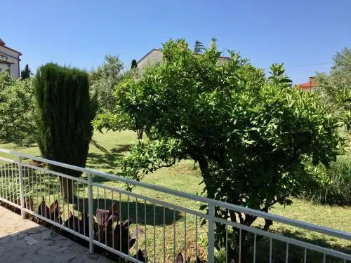 Kosovic Family House