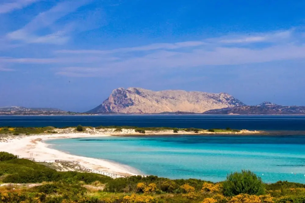 Casetta Verde on the Hills With sea View at Three Kilometers From San Teodoro