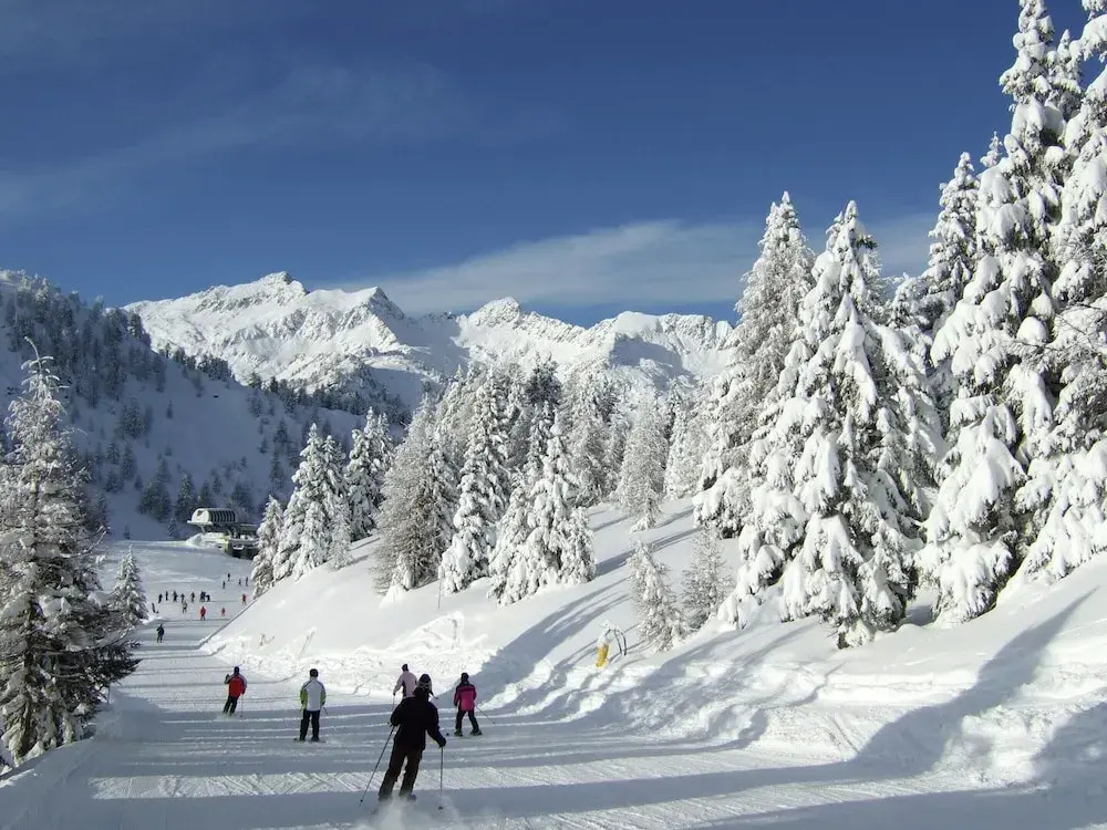 Apartment in Celledizzo Near Ski Area