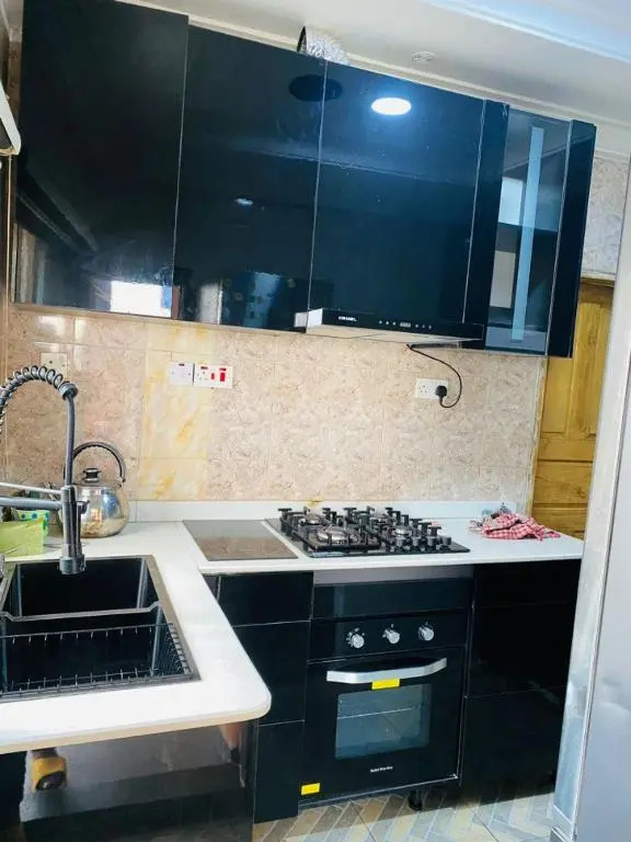Mr Luxury 2 bedroom apartment ik