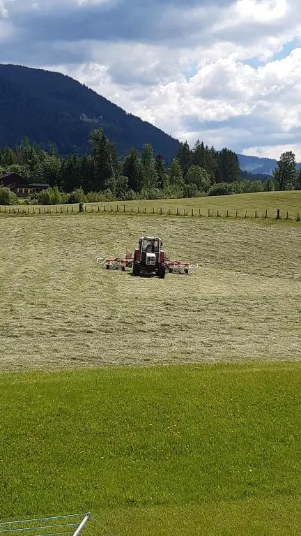Wiesingbauer