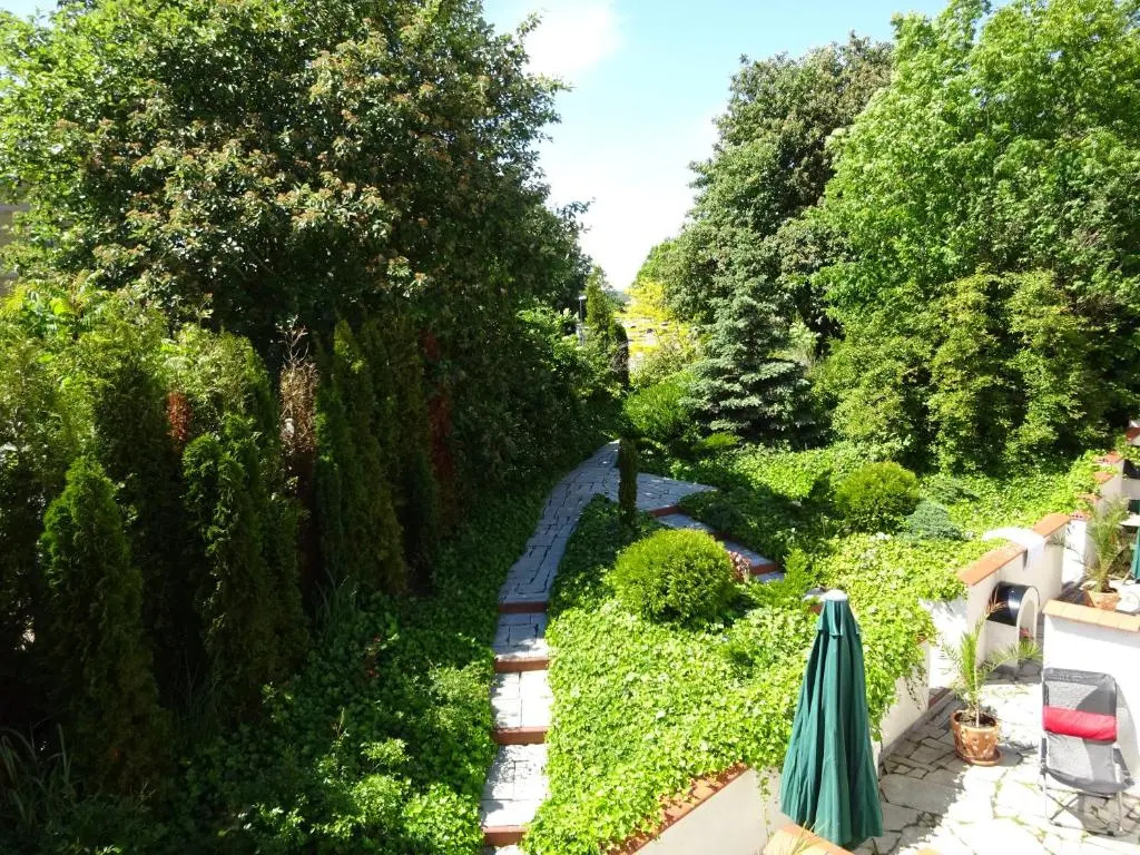Solrosen i Simrishamn - Österlen