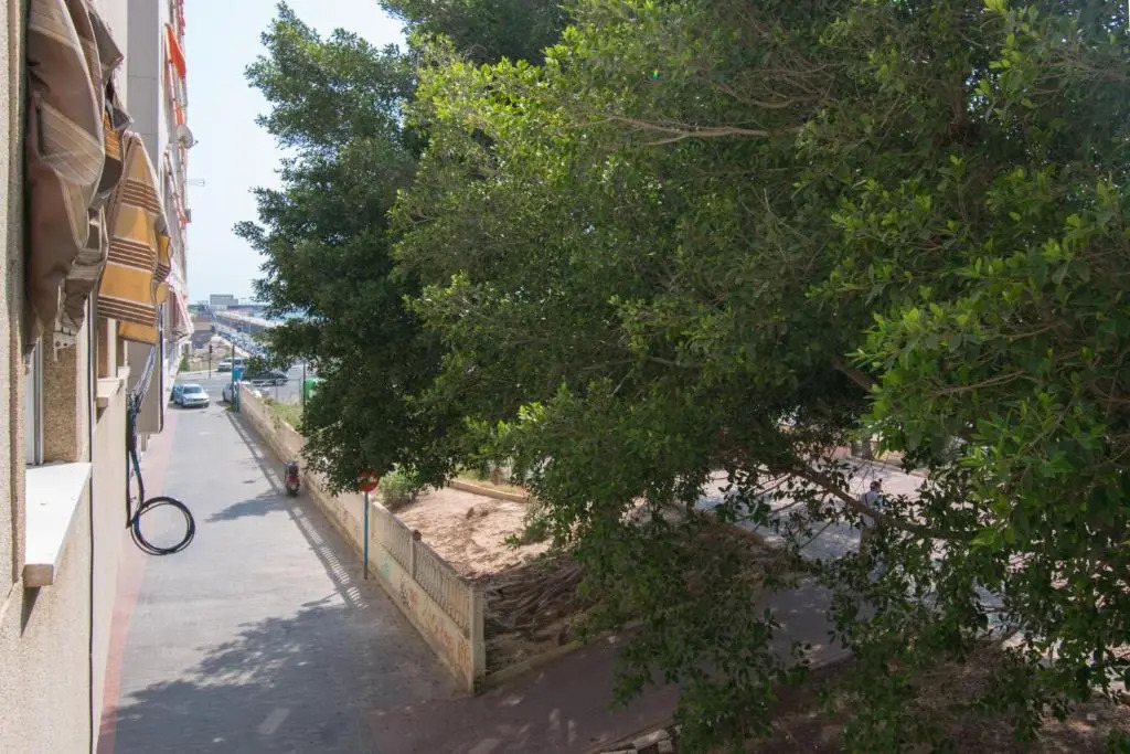 113 Beach and Trees - Alicante Holiday