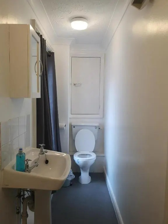 Penthouse Flat with River View, 1C