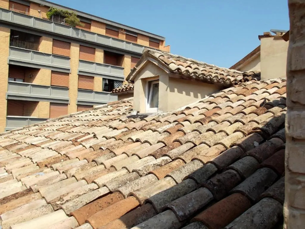 La casa di Oliva