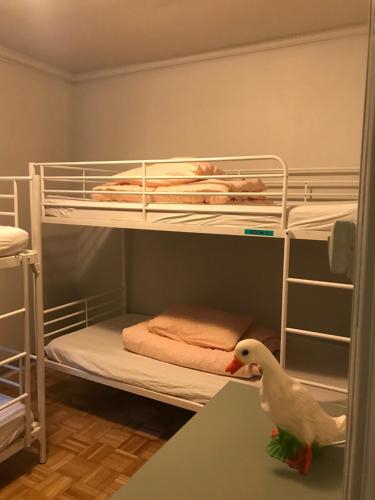 Fálkinn Guesthouse