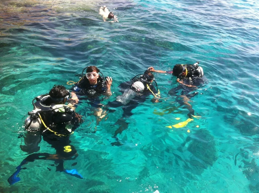 sharks bay oasis aqua park