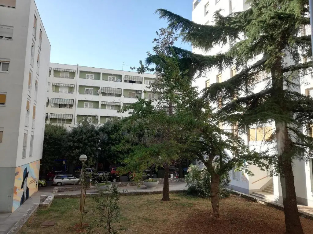 Petra apartment