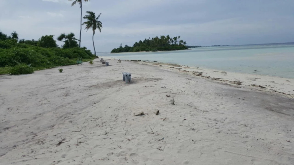 Island Guest