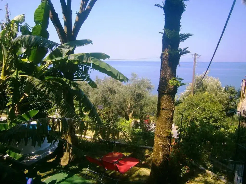 Pantazis Studios