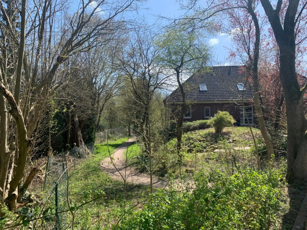 Sonniges Stadt-Apartment in ruhiger Parklage