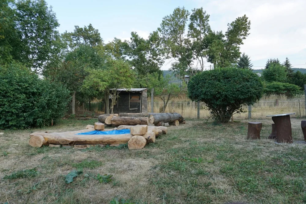 Alte Mühle Kelbra - ehemalig ALBIG