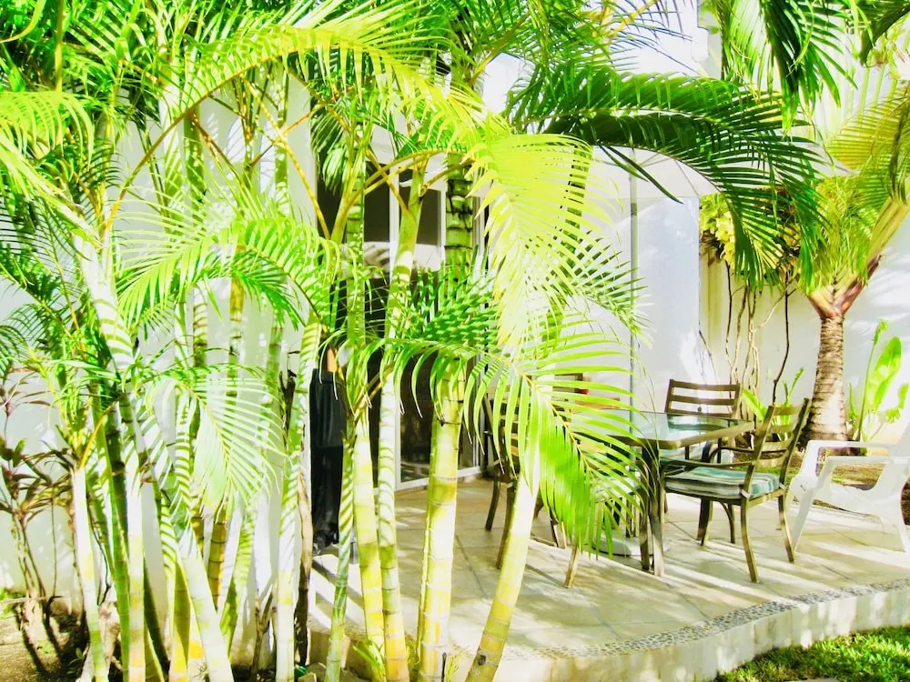Playacar - Executive Budget Room With Swimming Pool Air Conditioning and Parking