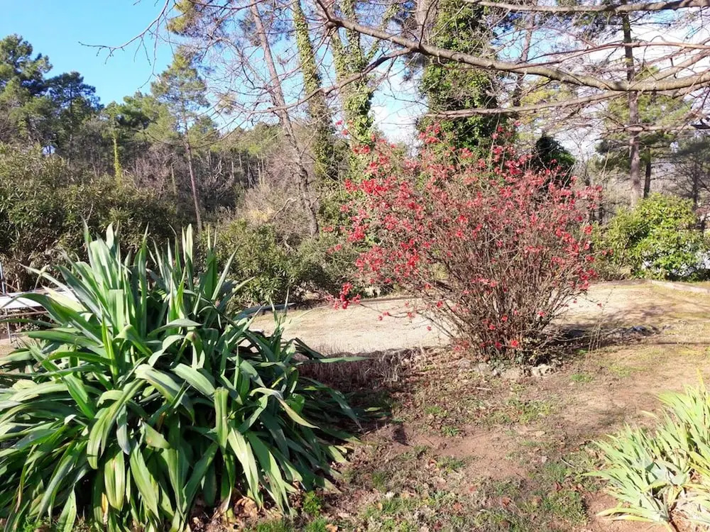 House With one Bedroom in Montauroux, With Wonderful Mountain View, Furnished Garden and Wifi - 15 km From the Beach