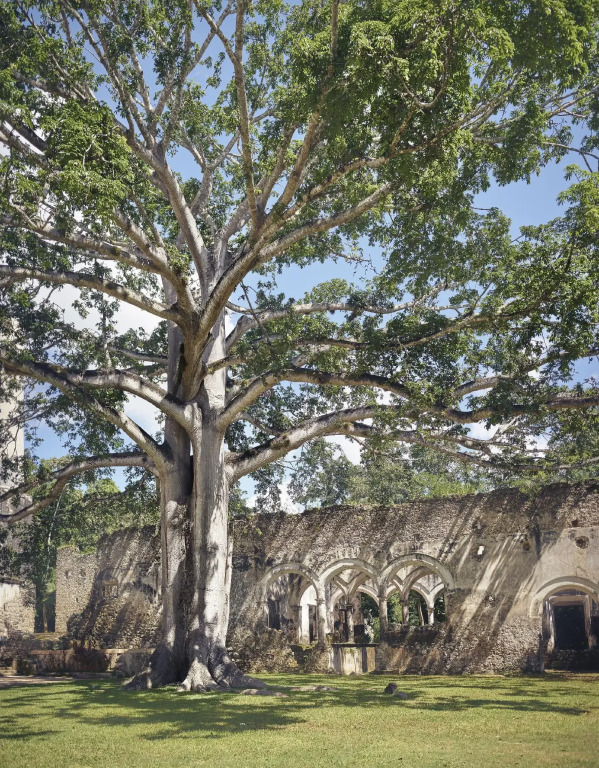 Hacienda Uayamon