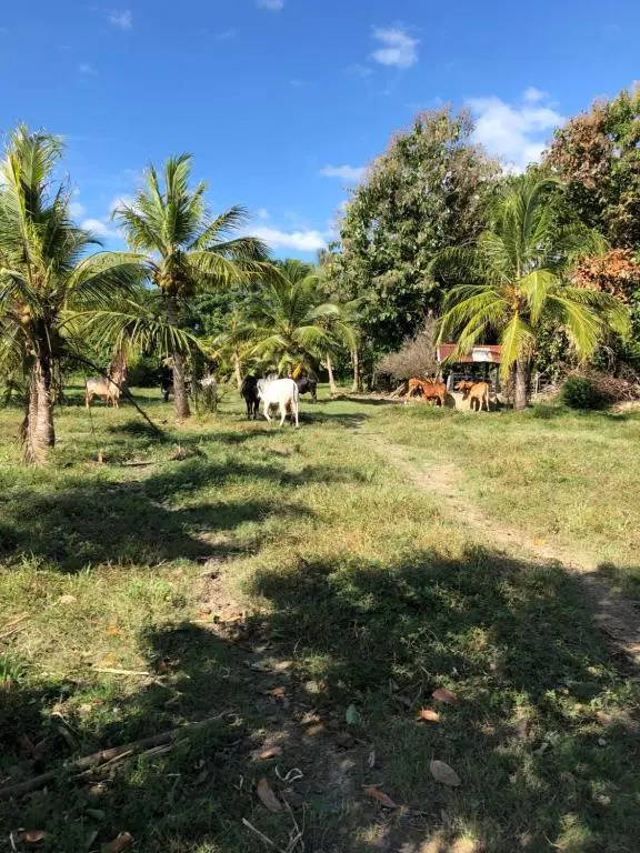 Hacienda Valencia