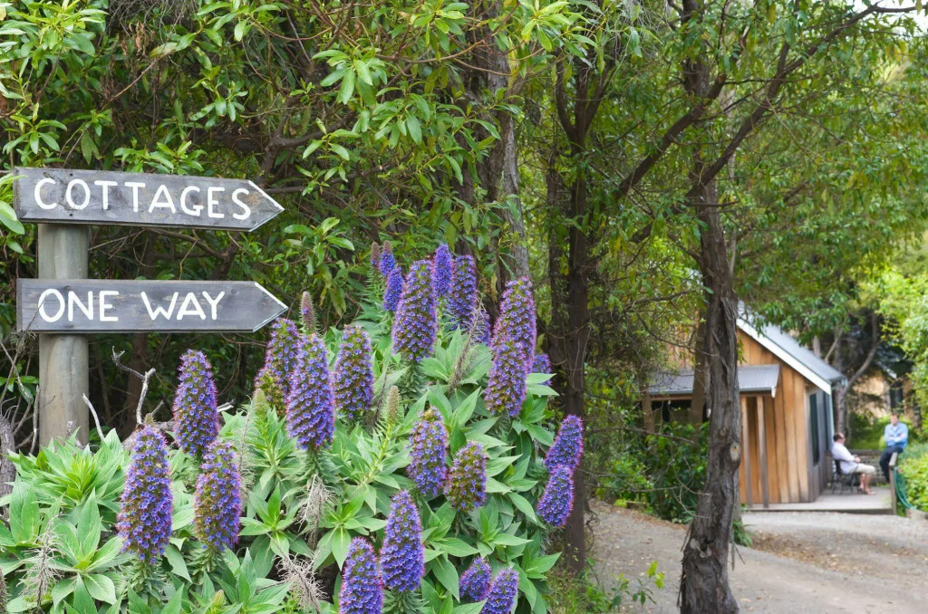 Akaroa Cottages