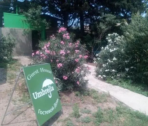 Guest House Umbrella