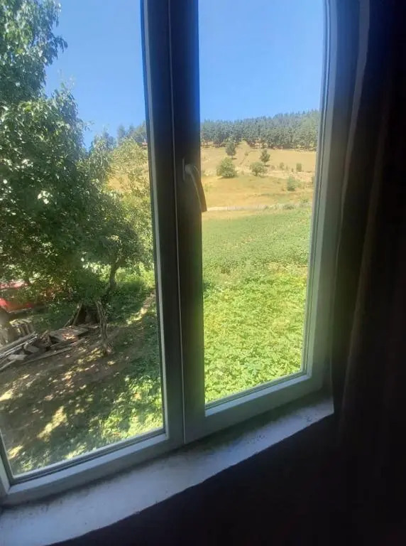 Maias Guesthouse