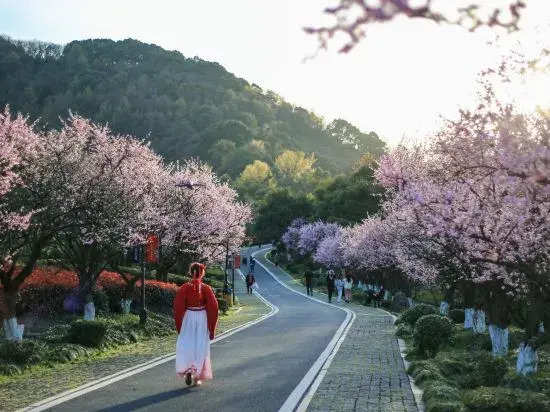 Hangzhou Shuimo Zhuang Private Home Forest Hotel (Chaoshan Scenic Area)