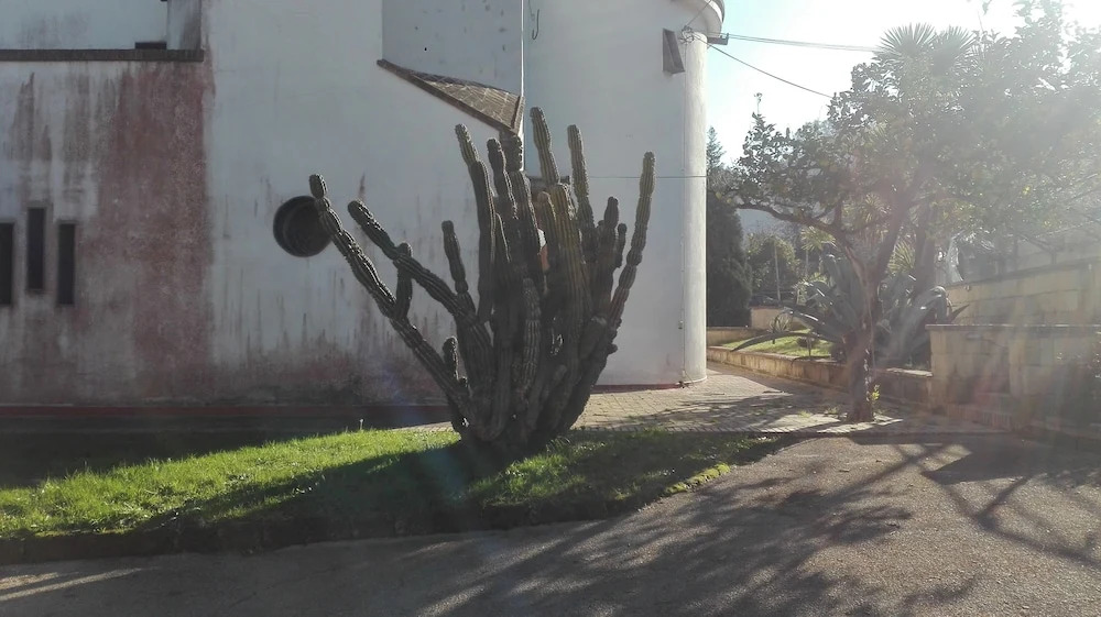 B&B Il Castagnaro