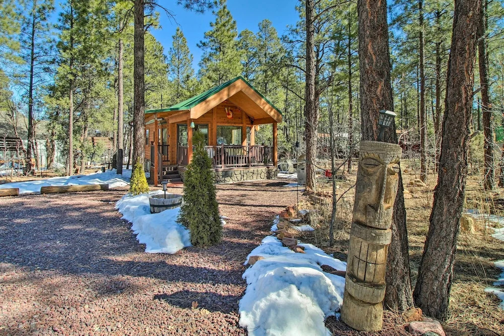 Lakeside Cabin with Fire Pit about 4 Mi to Show Low Lake