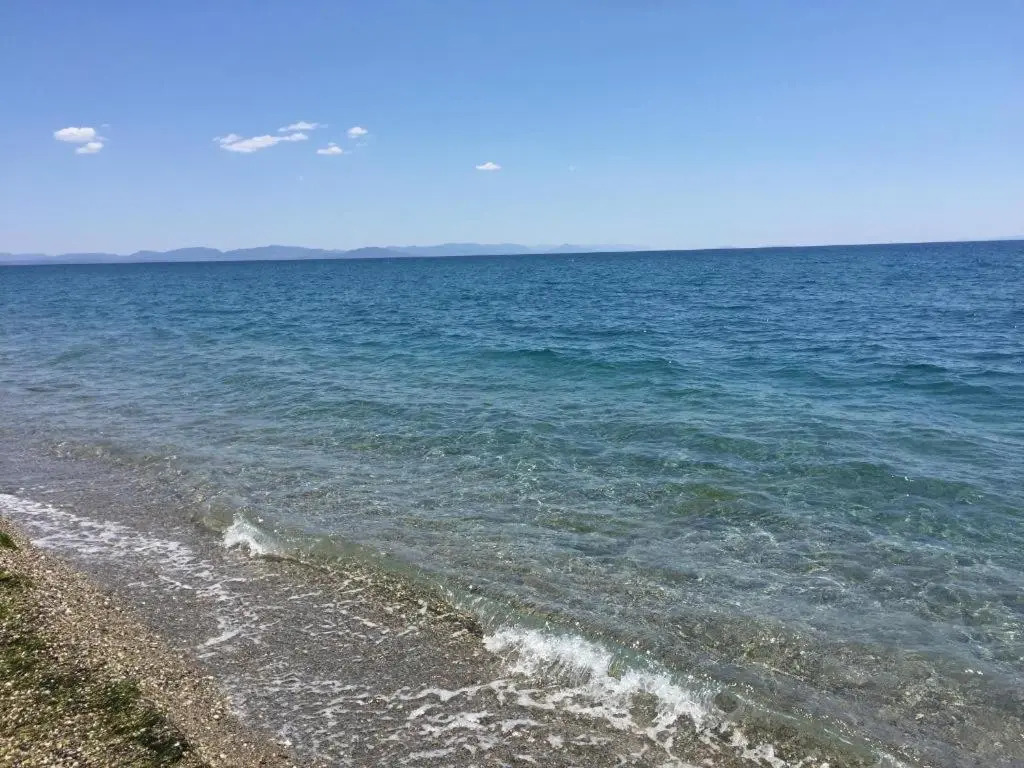 Elaianthos 2