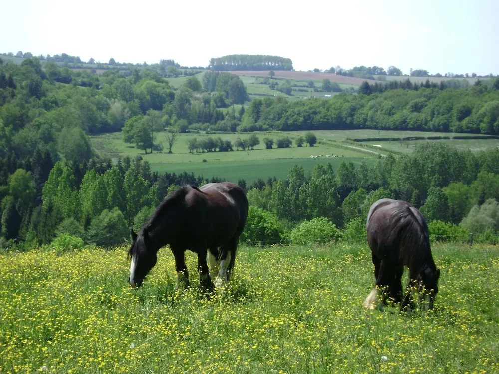 Les Jardins de Beauve