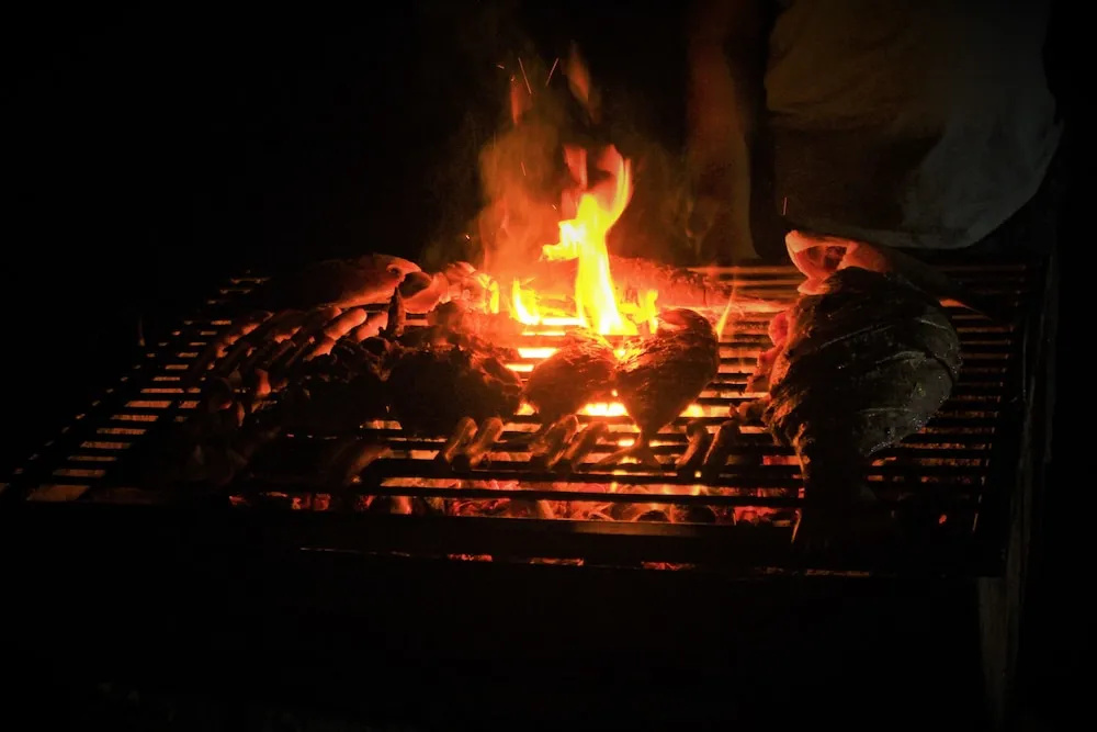 Yala Wilderness Safari Camp