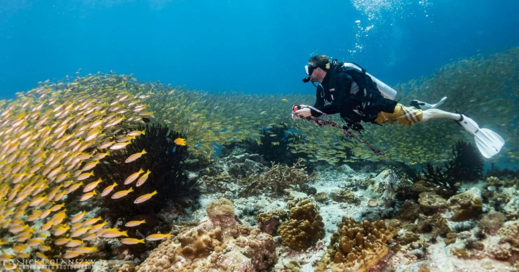 Forra Dive Resort Sunrise