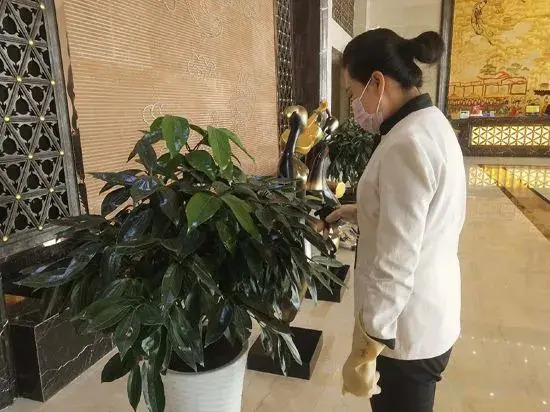Yuyang International Hotel