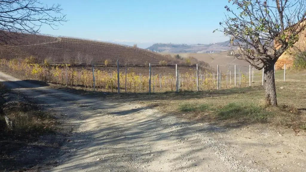 Cascina Torello