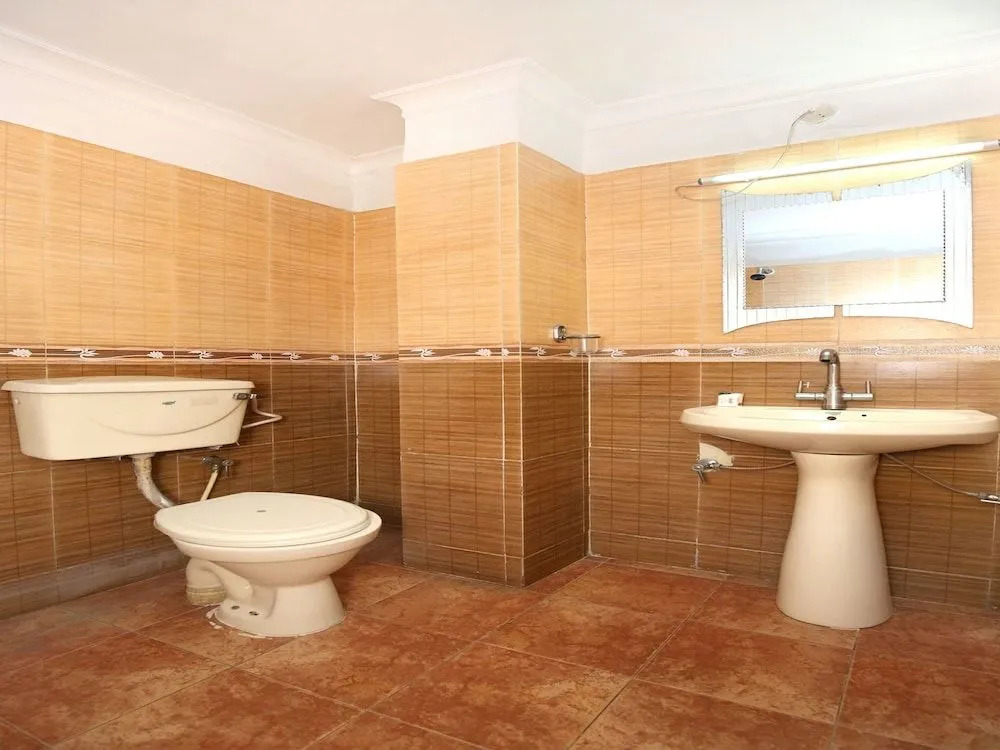 OYO 13365 Hotel Teg Royal