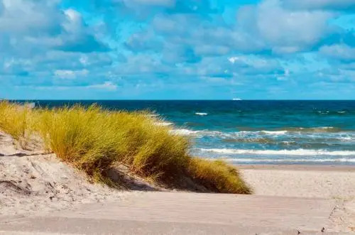 STRANDFLIEDER App Nr 05 max 3 Pers