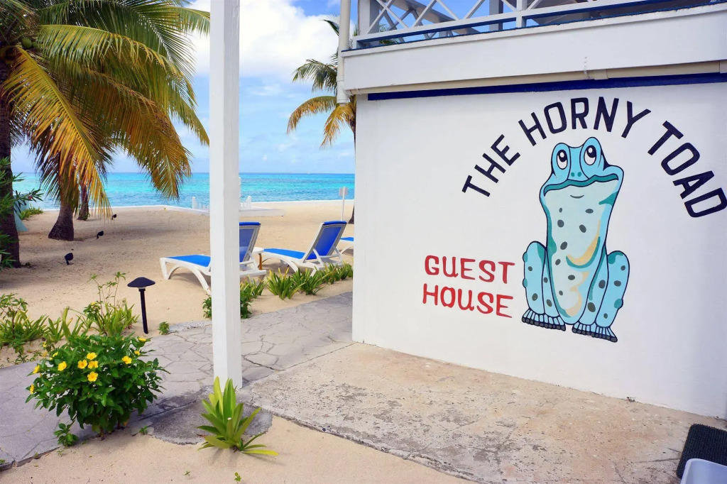 The Horny Toad Guest House